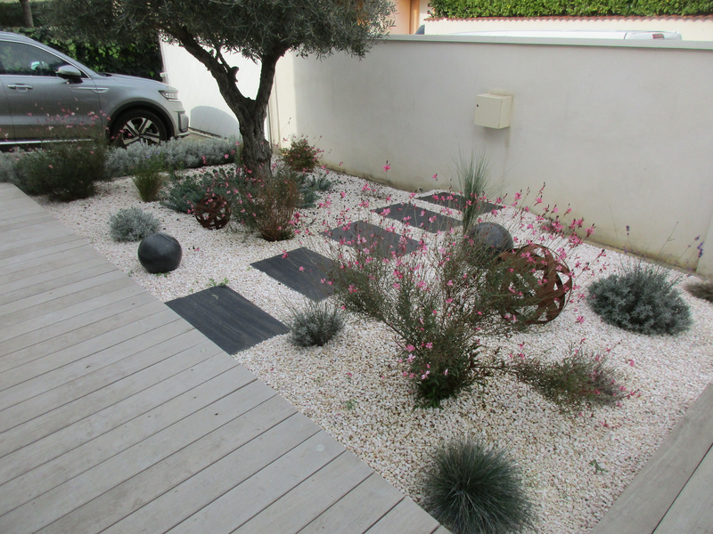 Photo de couverture de De la graine au jardin